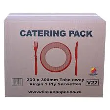 SERVIETTES 200 X 300 (2200)Box