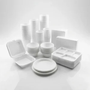 Styrofoam Packaging